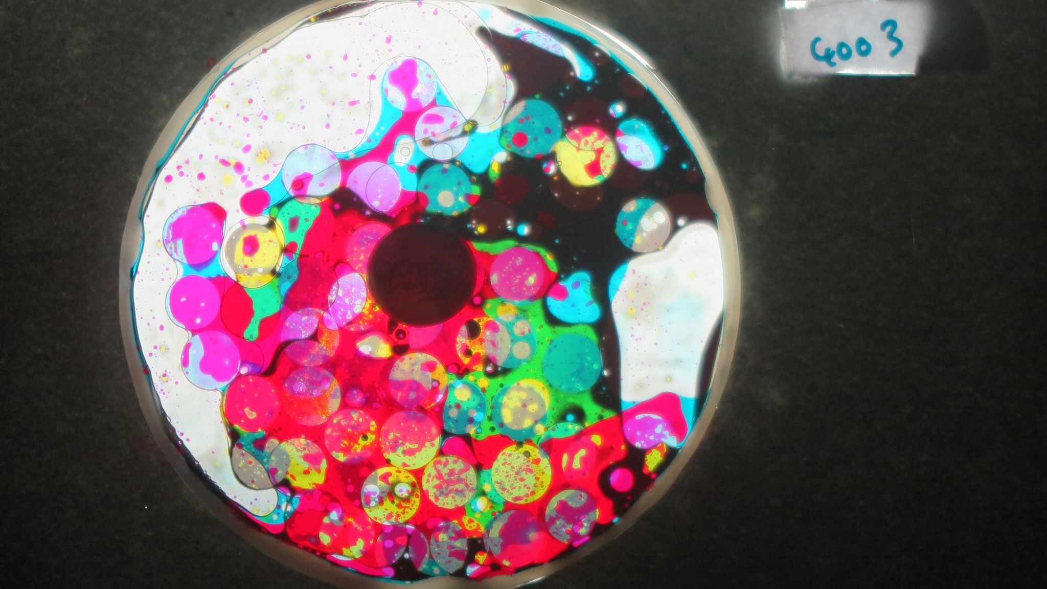 BV4003 bubble vision oil wheel